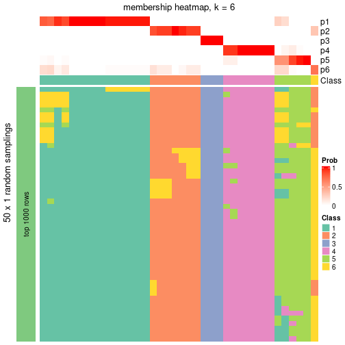 plot of chunk tab-node-0111-membership-heatmap-5