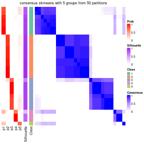 plot of chunk tab-node-0113-consensus-heatmap-4