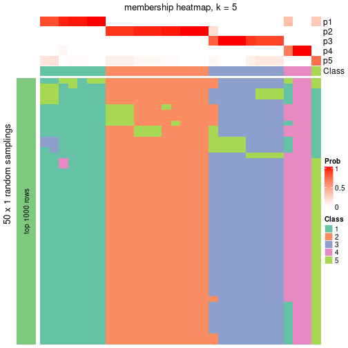 plot of chunk tab-node-0113-membership-heatmap-4