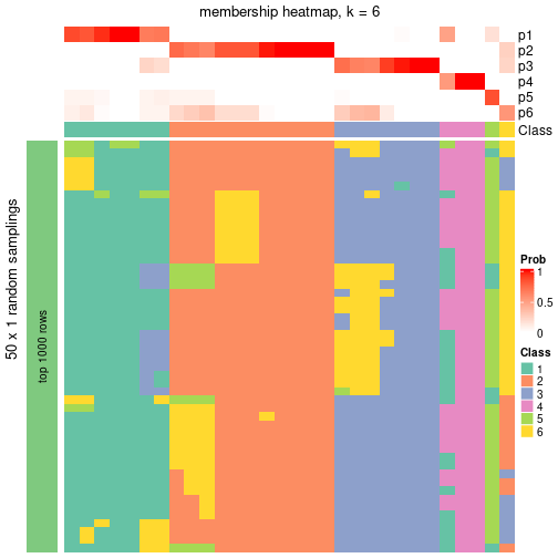 plot of chunk tab-node-0113-membership-heatmap-5