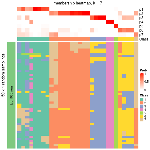 plot of chunk tab-node-0113-membership-heatmap-6