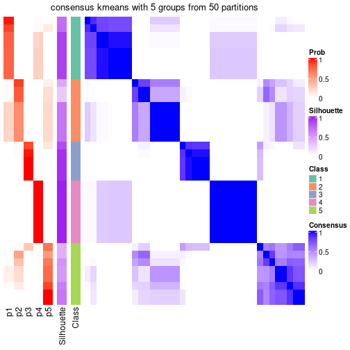 plot of chunk tab-node-012-consensus-heatmap-4