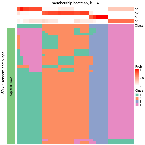 plot of chunk tab-node-012-membership-heatmap-3