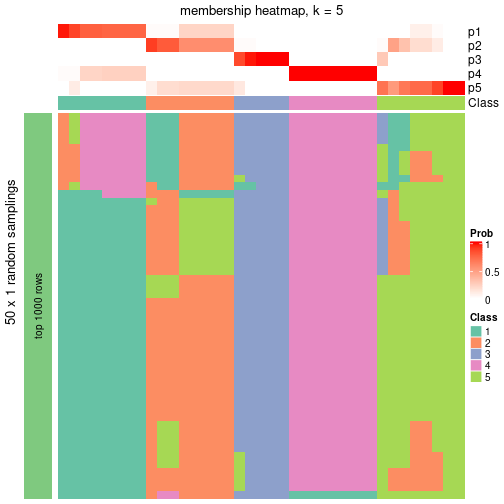 plot of chunk tab-node-012-membership-heatmap-4