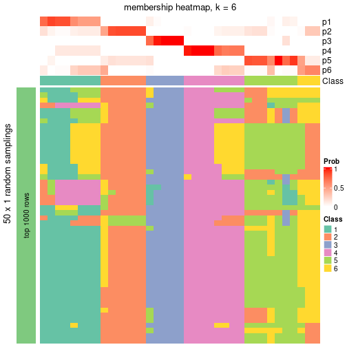 plot of chunk tab-node-012-membership-heatmap-5