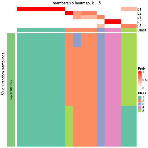 plot of chunk tab-node-0122-membership-heatmap-4