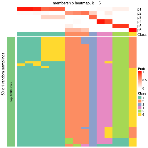 plot of chunk tab-node-0122-membership-heatmap-5