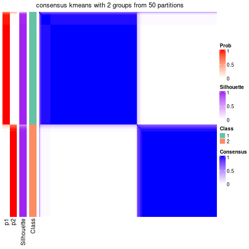 plot of chunk tab-node-02-consensus-heatmap-1