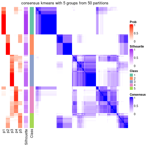 plot of chunk tab-node-02-consensus-heatmap-4