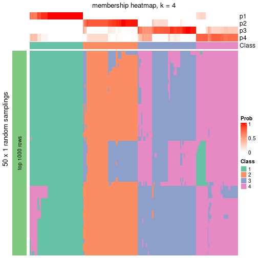 plot of chunk tab-node-02-membership-heatmap-3