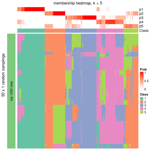 plot of chunk tab-node-02-membership-heatmap-4