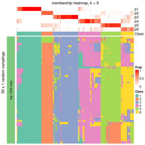 plot of chunk tab-node-02-membership-heatmap-5