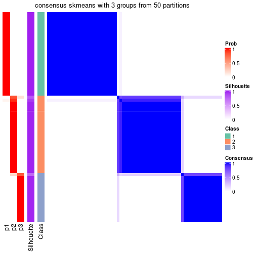 plot of chunk tab-node-021-consensus-heatmap-2