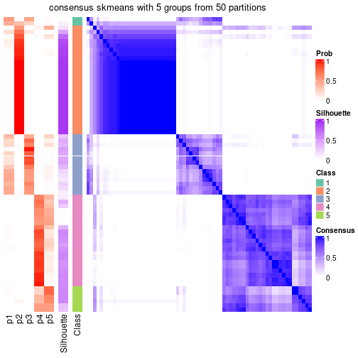 plot of chunk tab-node-021-consensus-heatmap-4