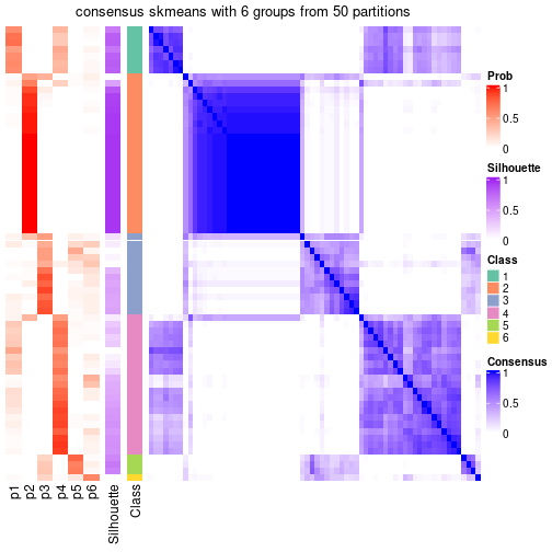 plot of chunk tab-node-021-consensus-heatmap-5