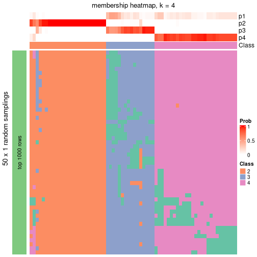 plot of chunk tab-node-021-membership-heatmap-3