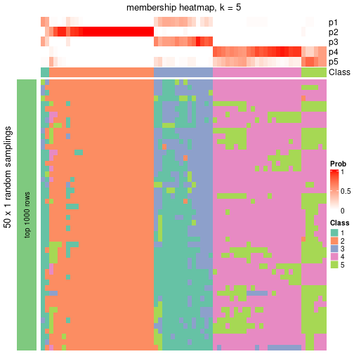 plot of chunk tab-node-021-membership-heatmap-4