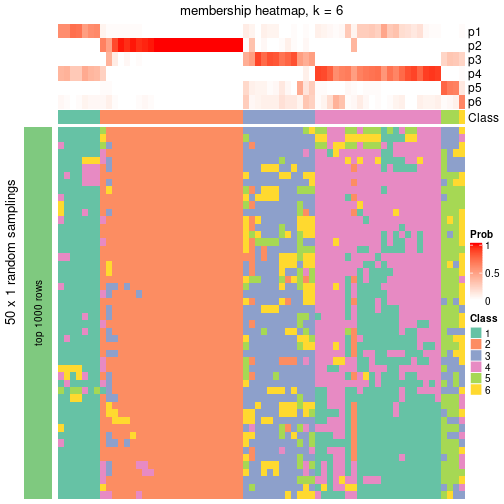 plot of chunk tab-node-021-membership-heatmap-5