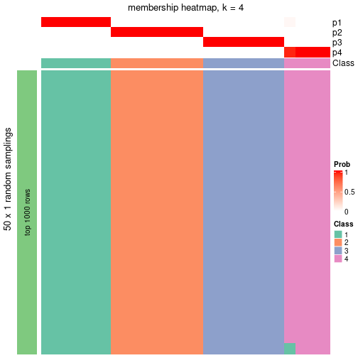 plot of chunk tab-node-0212-membership-heatmap-3