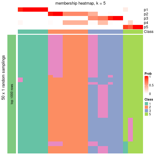 plot of chunk tab-node-0212-membership-heatmap-4