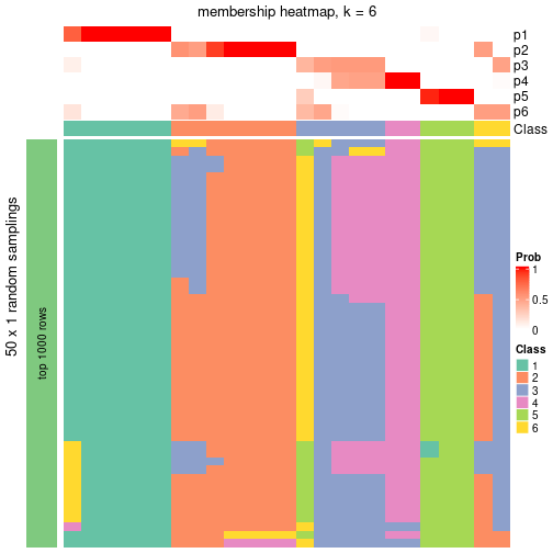 plot of chunk tab-node-0212-membership-heatmap-5