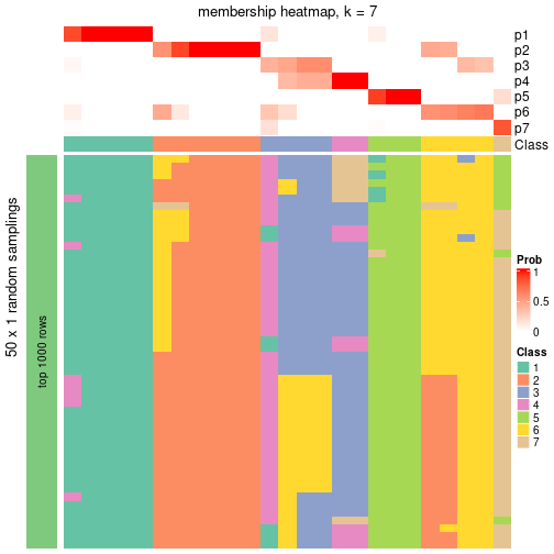 plot of chunk tab-node-0212-membership-heatmap-6