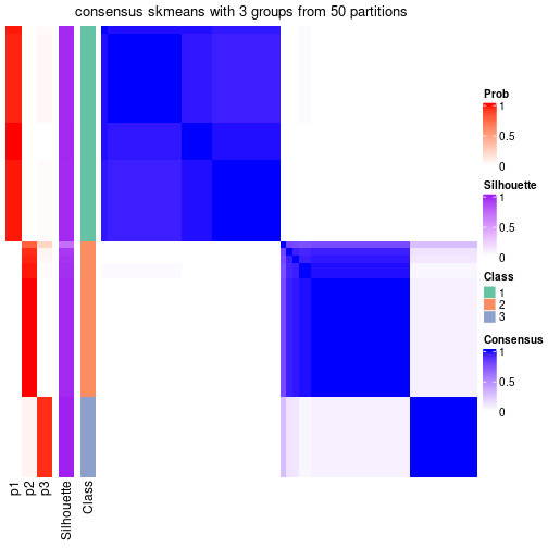 plot of chunk tab-node-022-consensus-heatmap-2