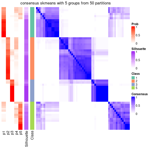 plot of chunk tab-node-022-consensus-heatmap-4