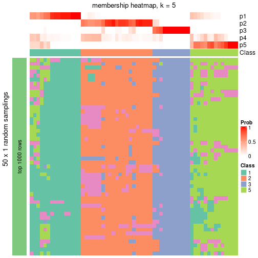 plot of chunk tab-node-022-membership-heatmap-4