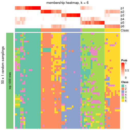 plot of chunk tab-node-022-membership-heatmap-5