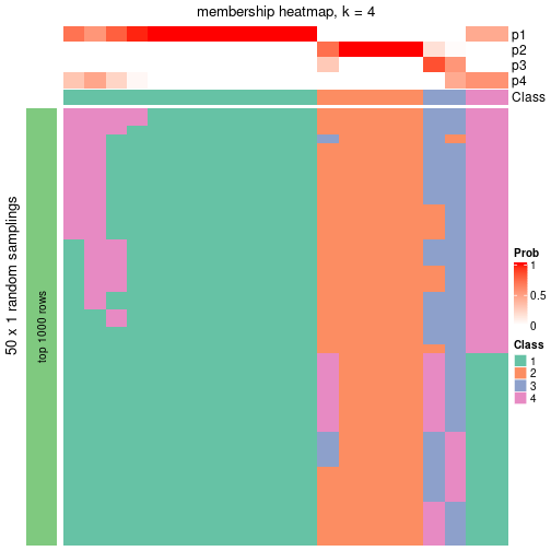 plot of chunk tab-node-0222-membership-heatmap-3