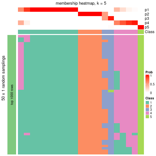 plot of chunk tab-node-0222-membership-heatmap-4