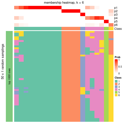 plot of chunk tab-node-0222-membership-heatmap-5