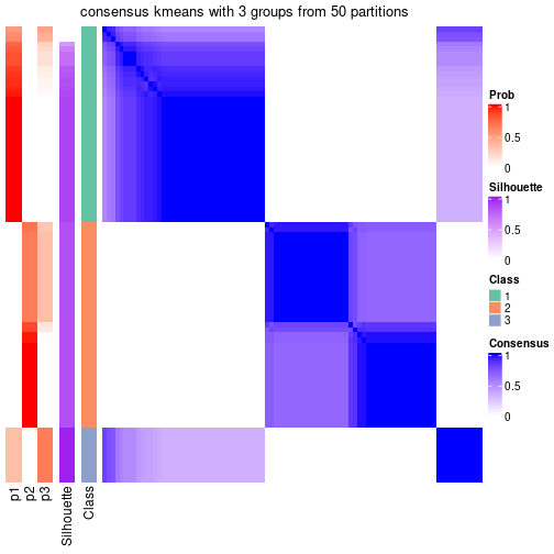 plot of chunk tab-node-023-consensus-heatmap-2