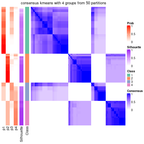 plot of chunk tab-node-023-consensus-heatmap-3