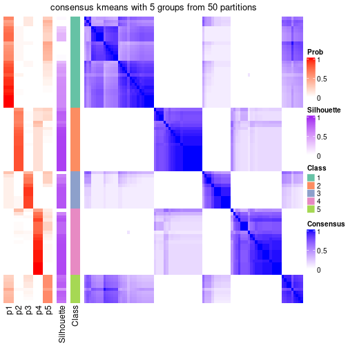 plot of chunk tab-node-023-consensus-heatmap-4