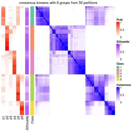 plot of chunk tab-node-023-consensus-heatmap-5