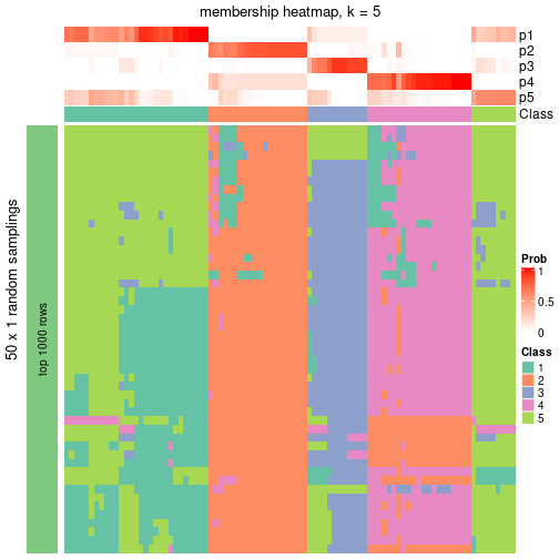 plot of chunk tab-node-023-membership-heatmap-4