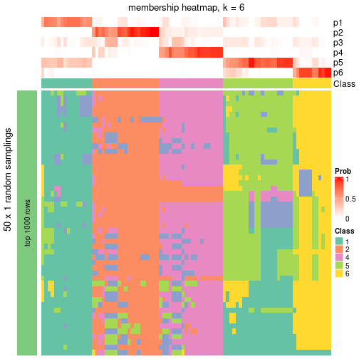 plot of chunk tab-node-023-membership-heatmap-5