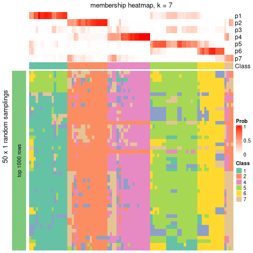 plot of chunk tab-node-023-membership-heatmap-6