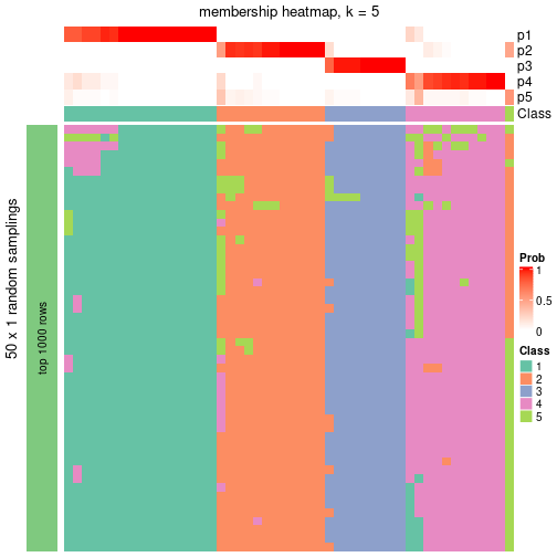 plot of chunk tab-node-0231-membership-heatmap-4