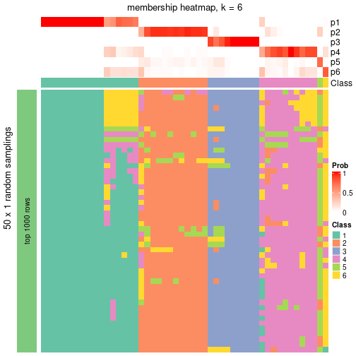 plot of chunk tab-node-0231-membership-heatmap-5