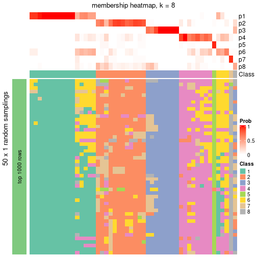 plot of chunk tab-node-0231-membership-heatmap-7