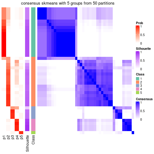 plot of chunk tab-node-0232-consensus-heatmap-4