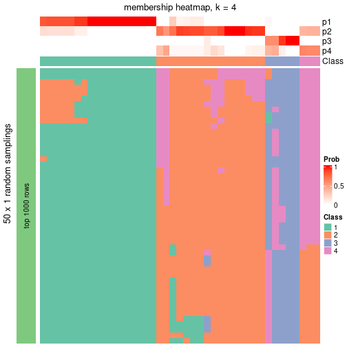 plot of chunk tab-node-0232-membership-heatmap-3