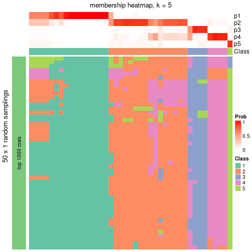 plot of chunk tab-node-0232-membership-heatmap-4