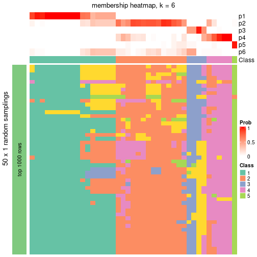 plot of chunk tab-node-0232-membership-heatmap-5