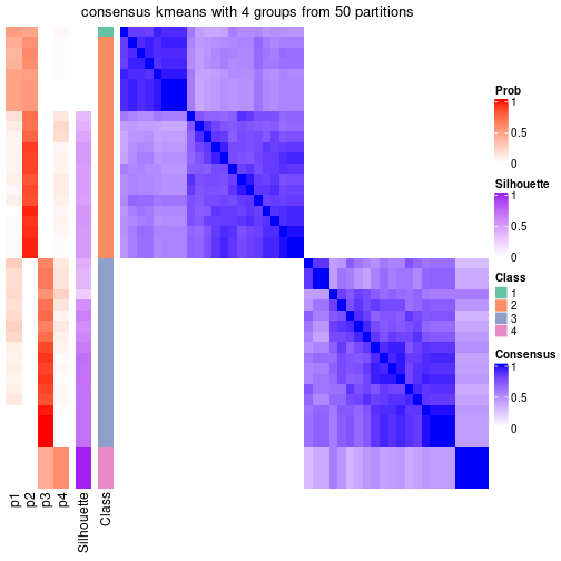 plot of chunk tab-node-03-consensus-heatmap-3