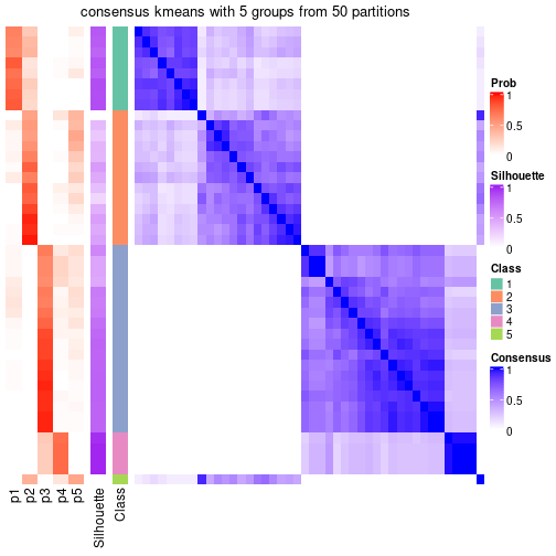 plot of chunk tab-node-03-consensus-heatmap-4