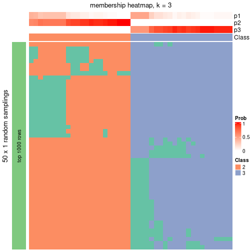 plot of chunk tab-node-03-membership-heatmap-2